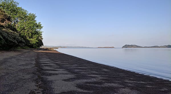 Photo of a beach with trees on the left and the ocean on the right.